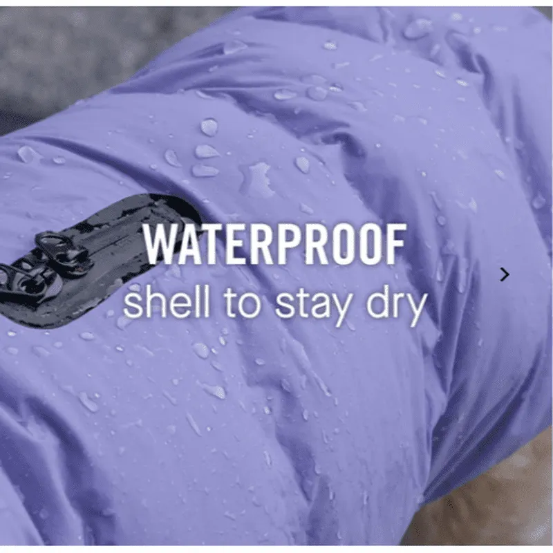 Canada Pooch Waterproof Puffer Violet