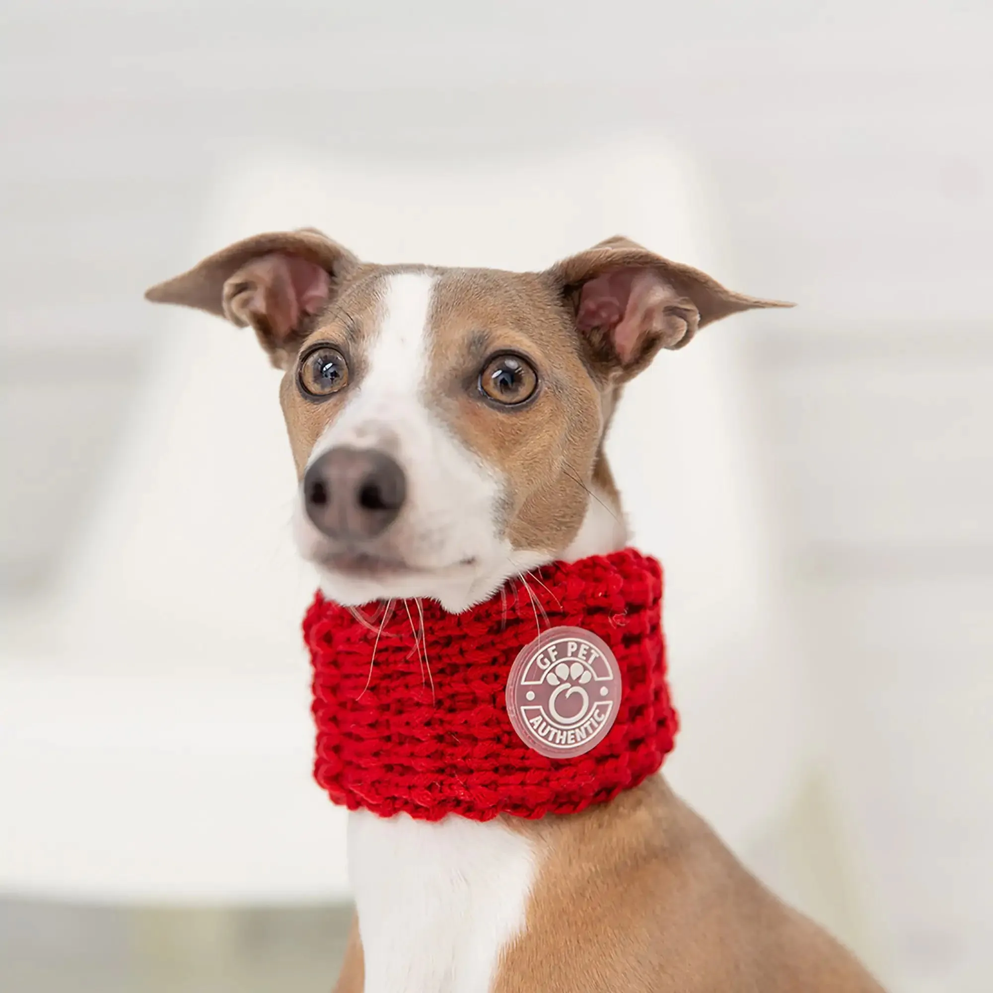 Dog Tube Scarf - Red