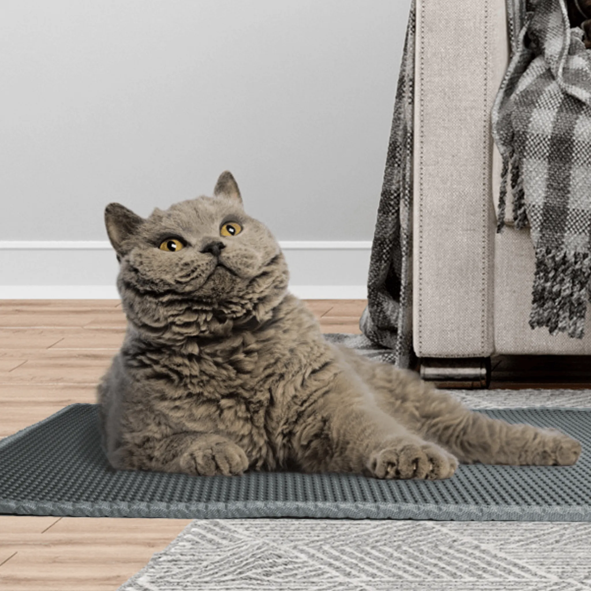 Double-Layer Non-slip Cat Litter Mat