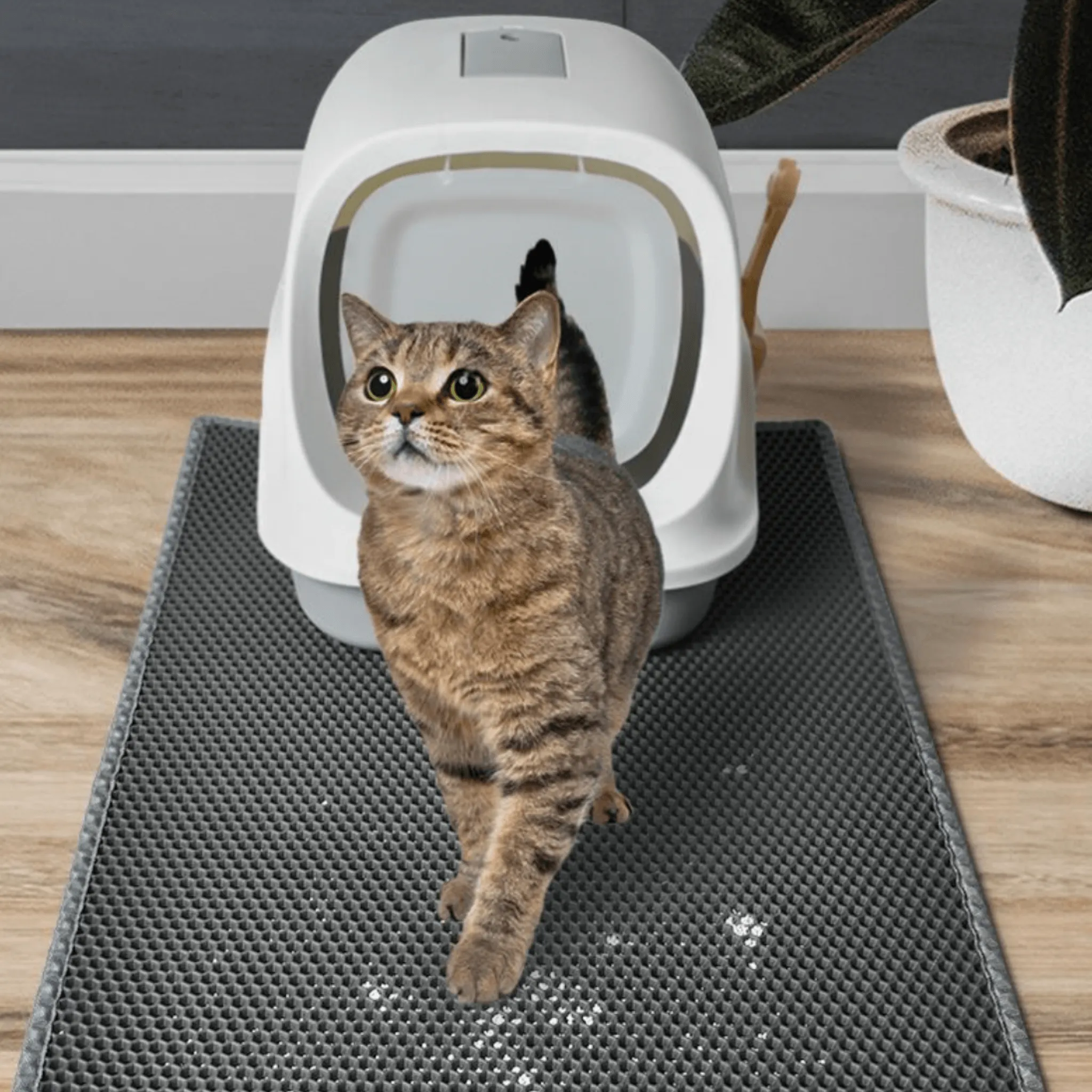 Double-Layer Non-slip Cat Litter Mat