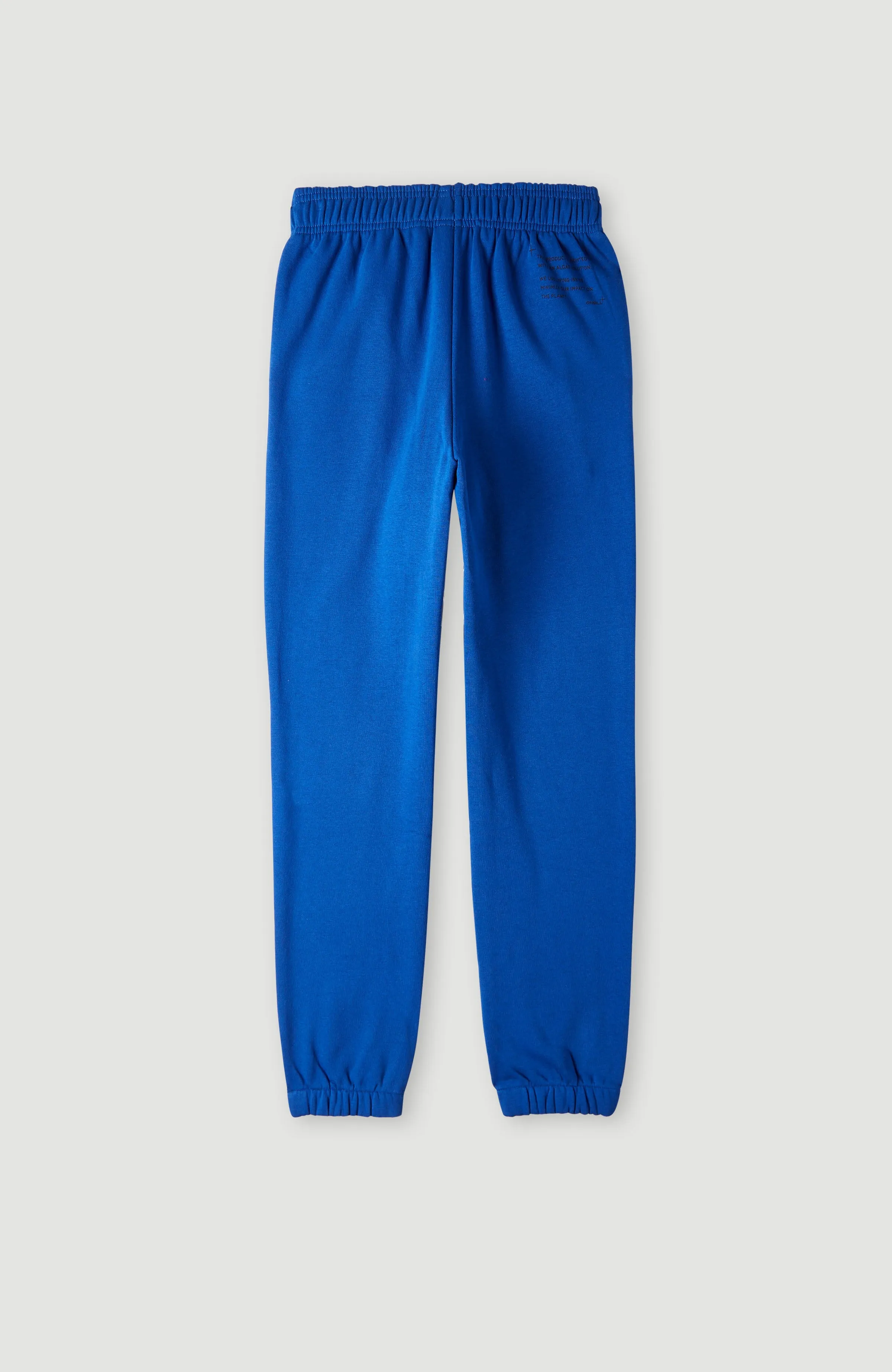 Future Surf Society Joggers | Surf the web Blue