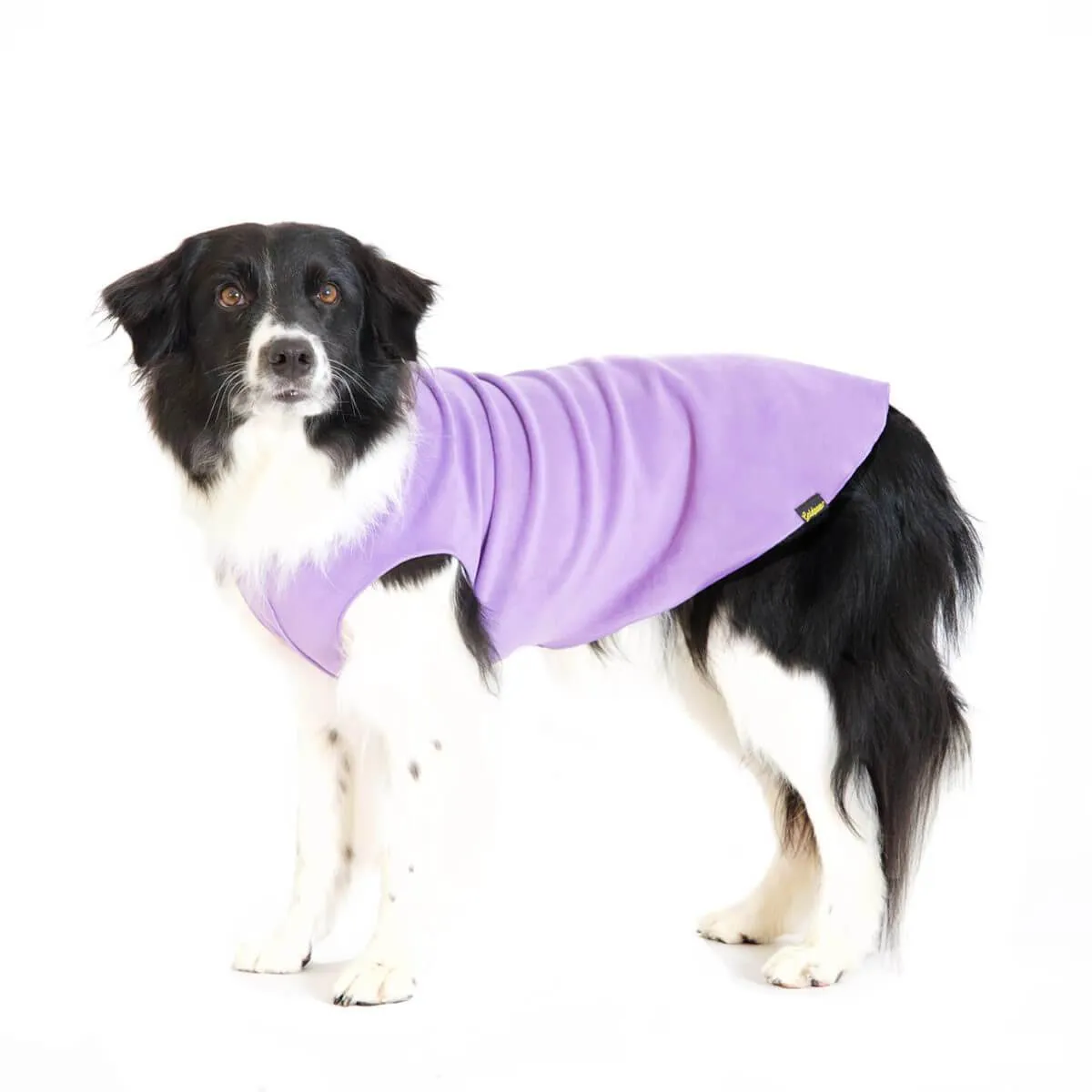 Gold Paw Series Stretch Fleece for Small Dogs