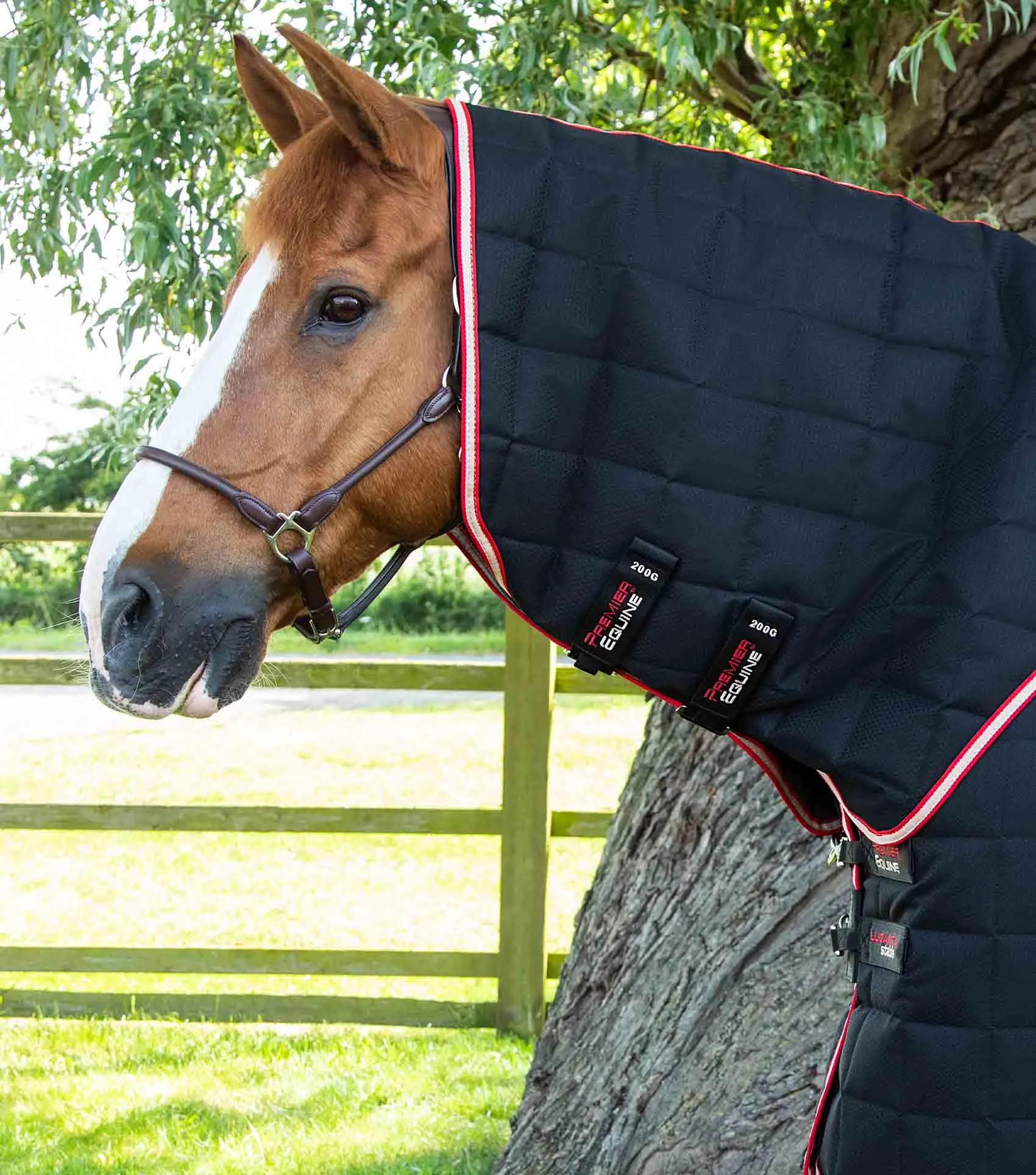 Lucanta 200g Stable Rug with Neck Cover Black