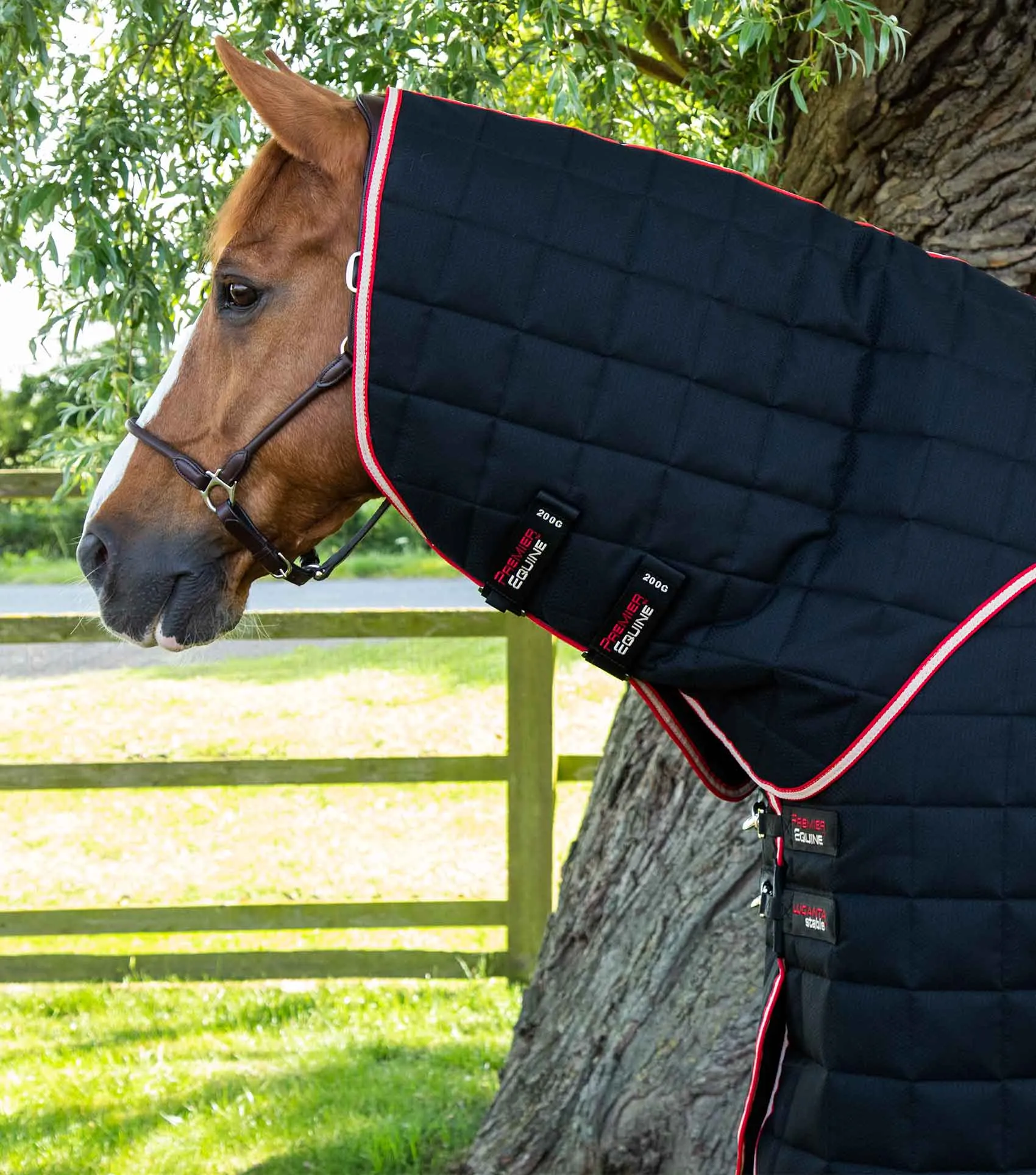 Lucanta 450g Stable Rug with Neck Cover Black