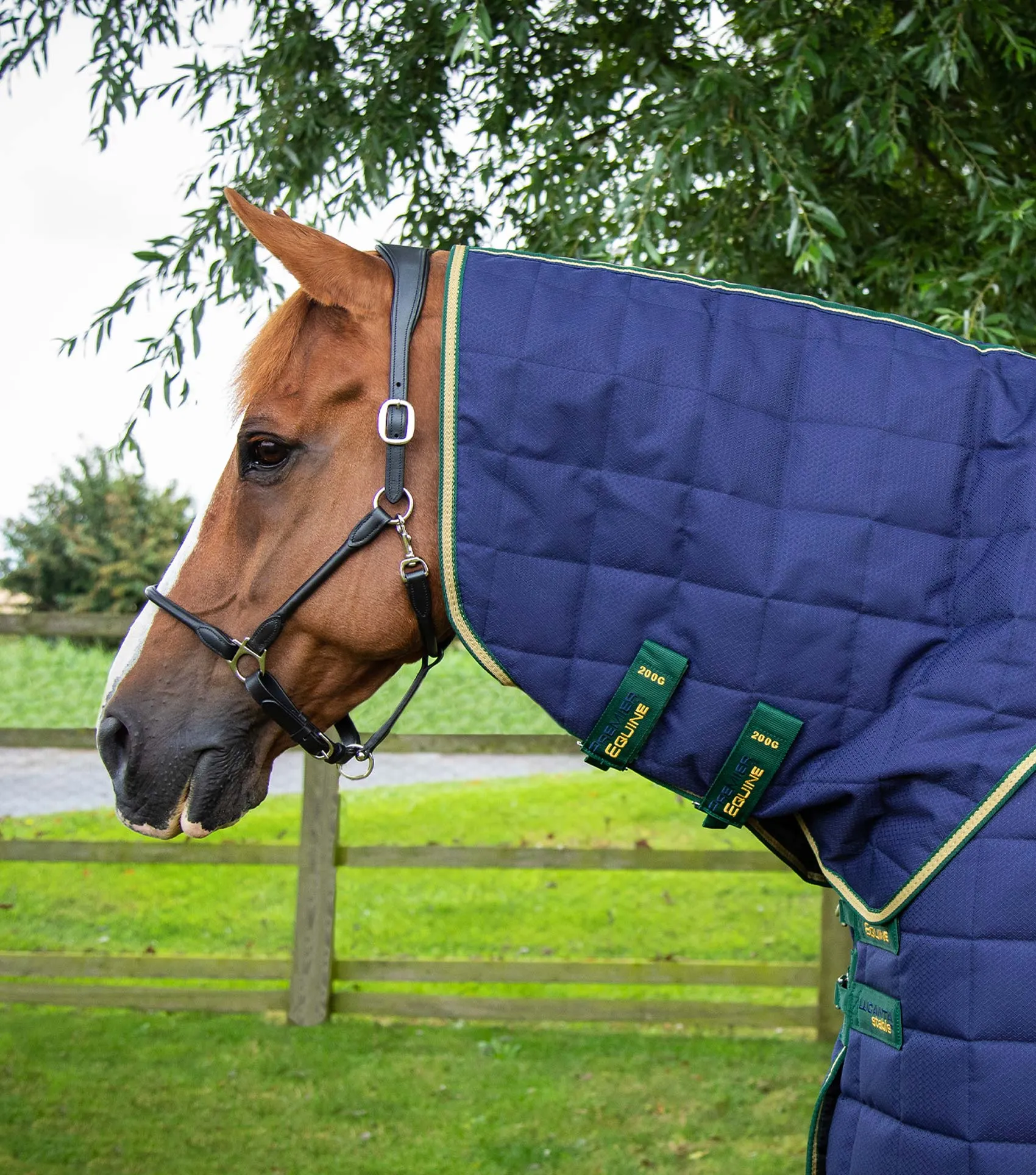 Lucanta 450g Stable Rug with Neck Cover Navy