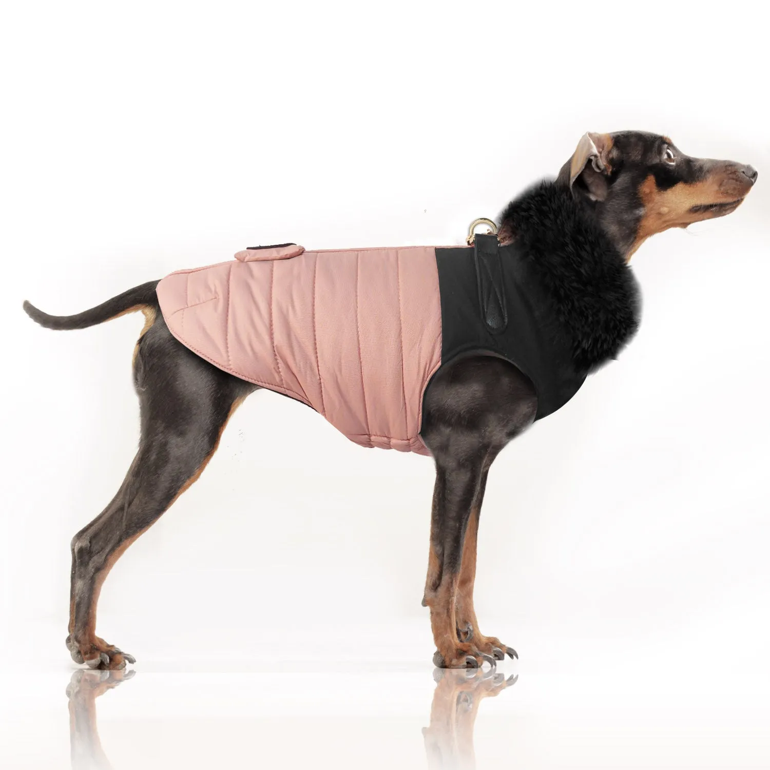 MILK AND PEPPER Azelie Puff Jacket Harness