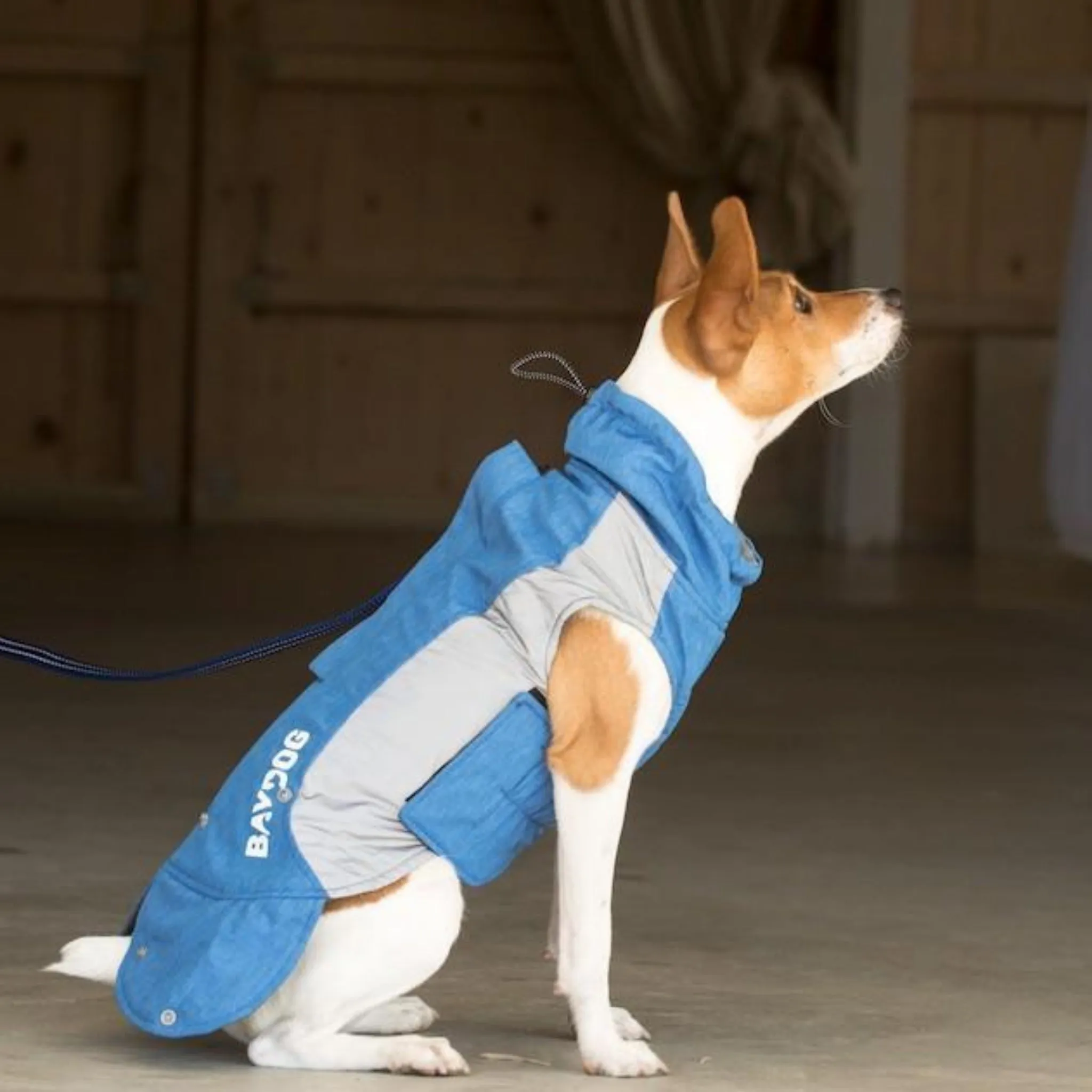 Ocean Blue Glacier Bay Dog Coat