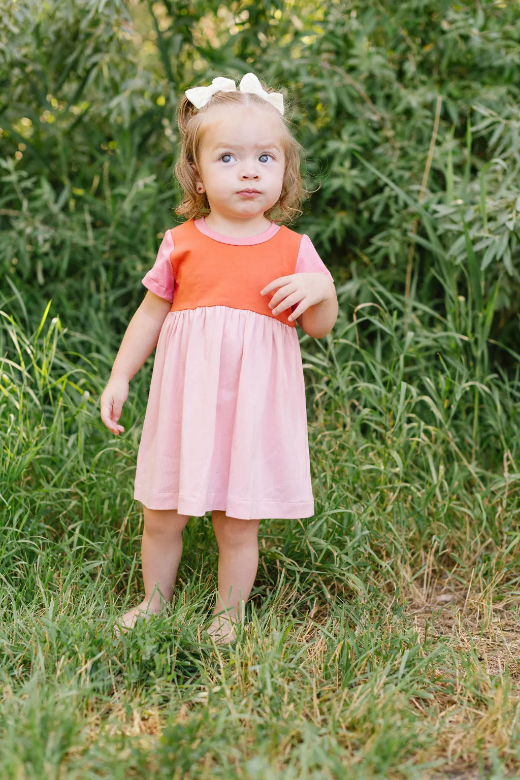 Playground Dress in Rose Colorblock