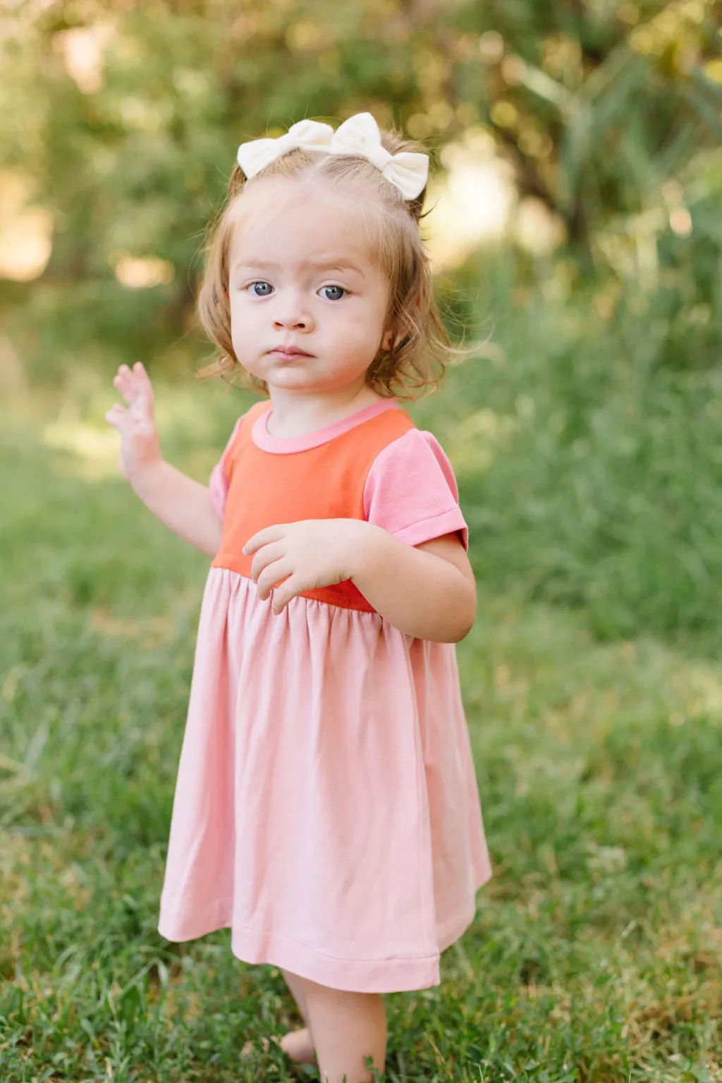 Playground Dress in Rose Colorblock