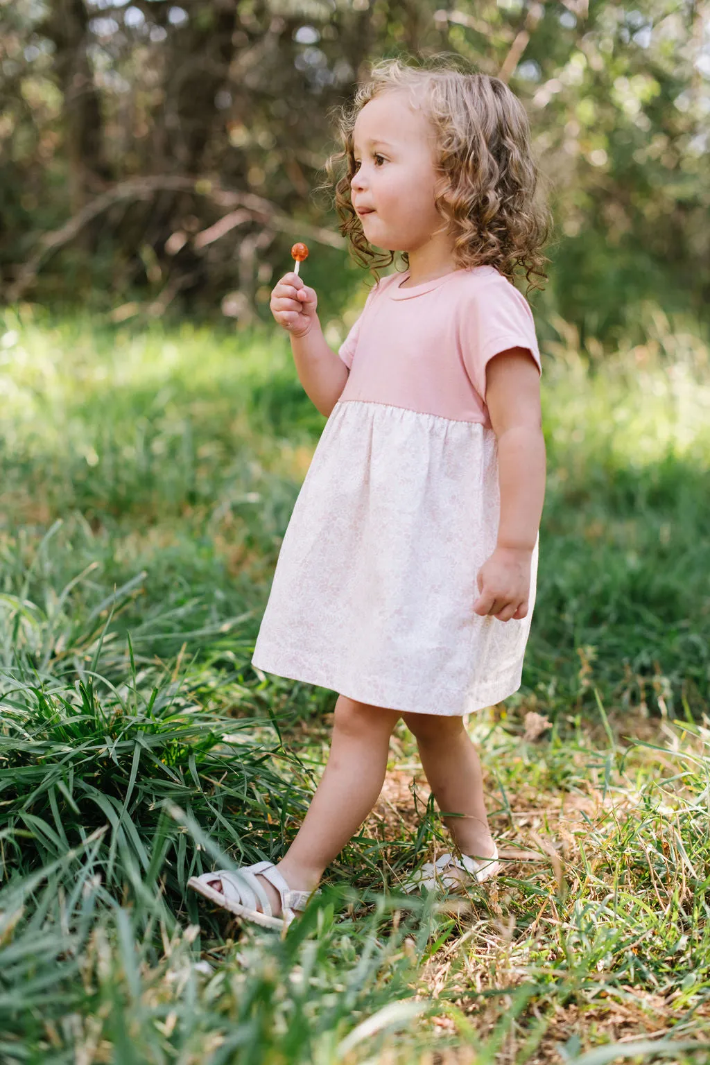 Playground Dress in Rose Garden