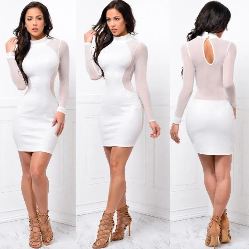 Trendy Mesh Long Sleeve Mini Party Dress