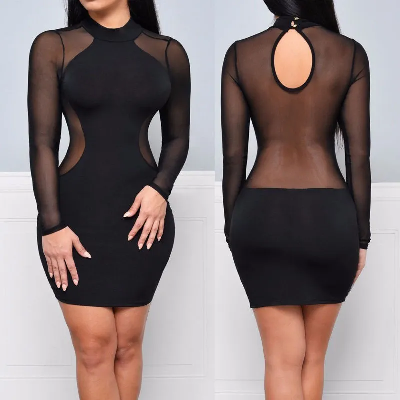 Trendy Mesh Long Sleeve Mini Party Dress