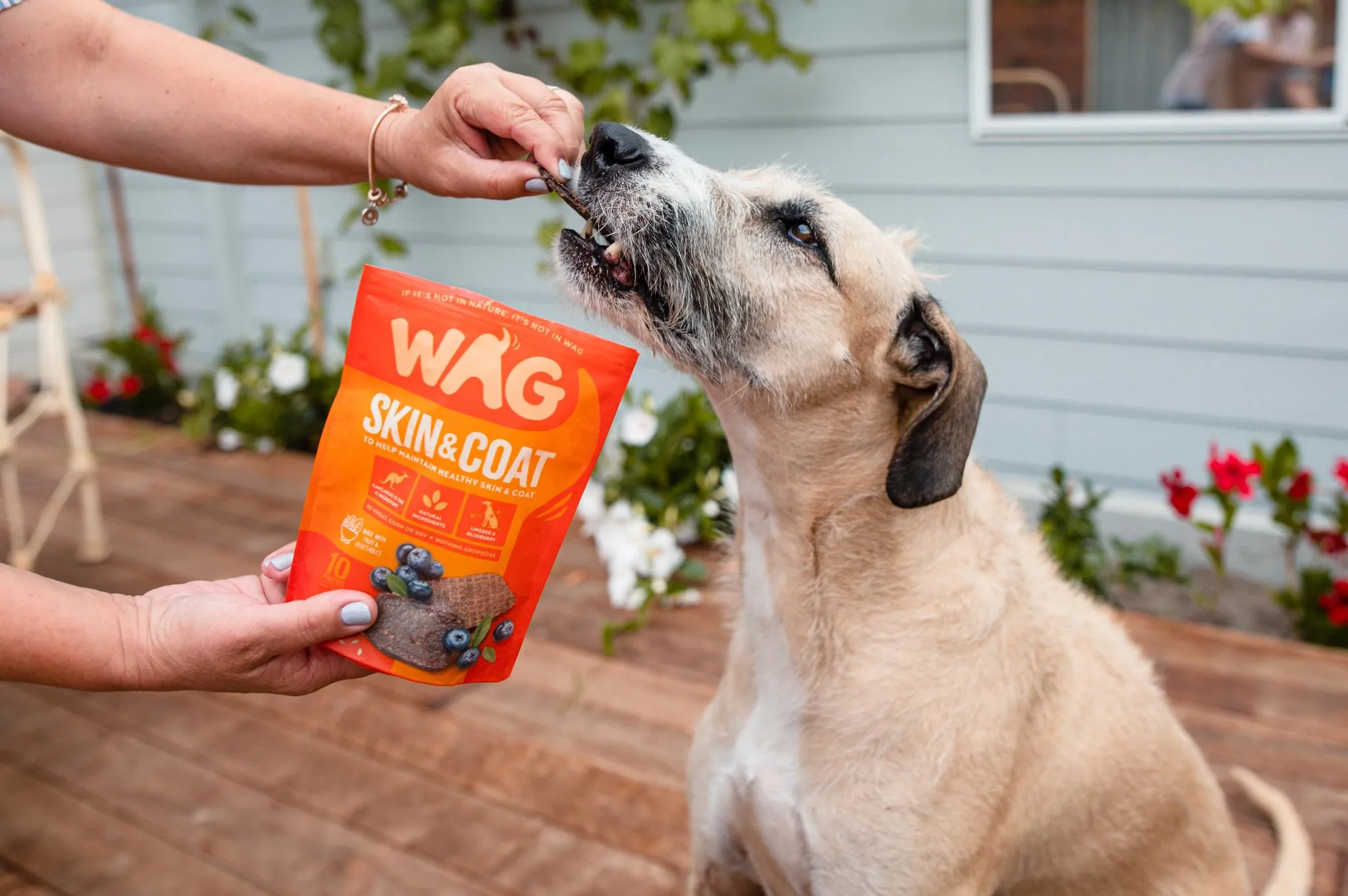 WAG Dog Treat Kangaroo Jerky Skin & Coat 10 Pack